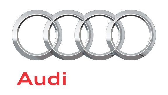 Audi kontrola VIN