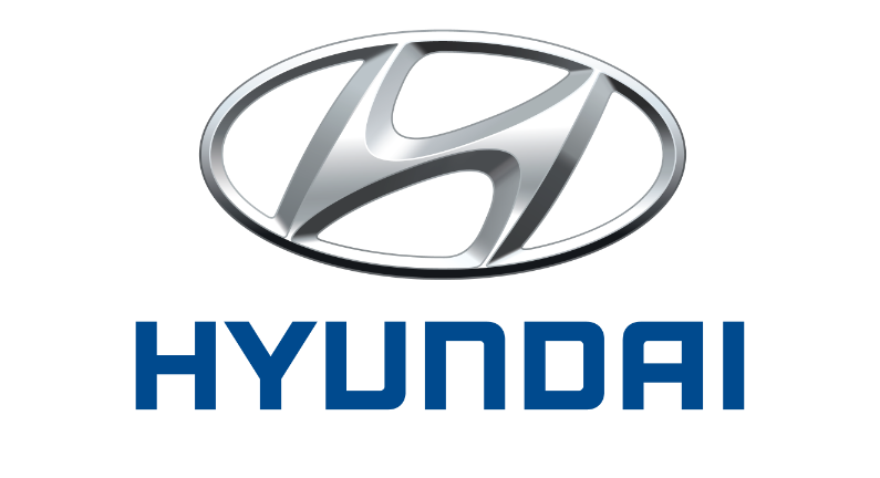 Hyundai kontrola VIN